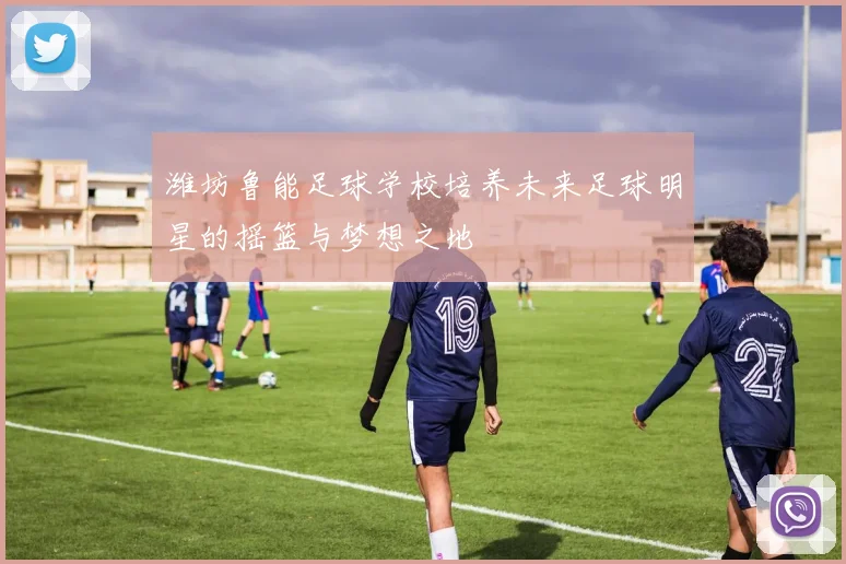潍坊鲁能足球学校培养未来足球明星的摇篮与梦想之地