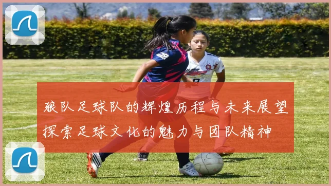 狼队足球队的辉煌历程与未来展望探索足球文化的魅力与团队精神