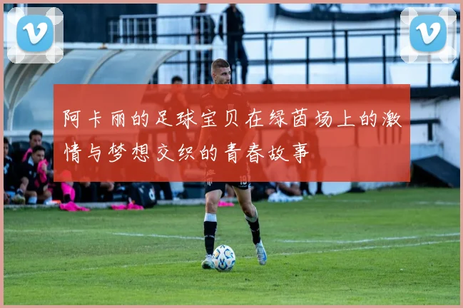 阿卡丽的足球宝贝在绿茵场上的激情与梦想交织的青春故事